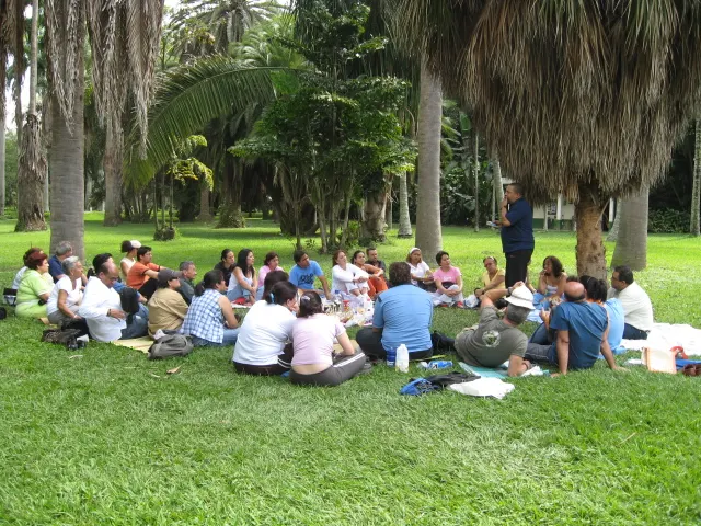 A reiki gathering under the palms