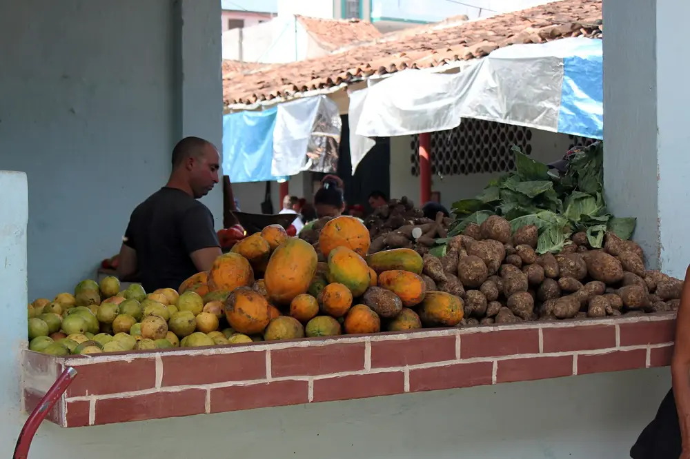 Un puesto en un mercado agrícola cubano, repleto de papayas y tubérculos